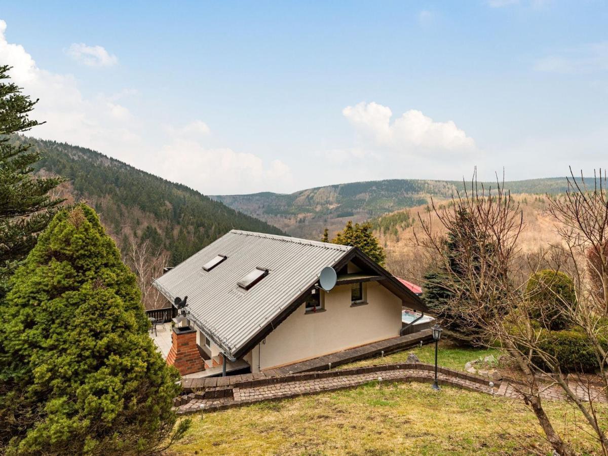 Majestic Holiday Home With Jacuzzi Unterschönau Buitenkant foto