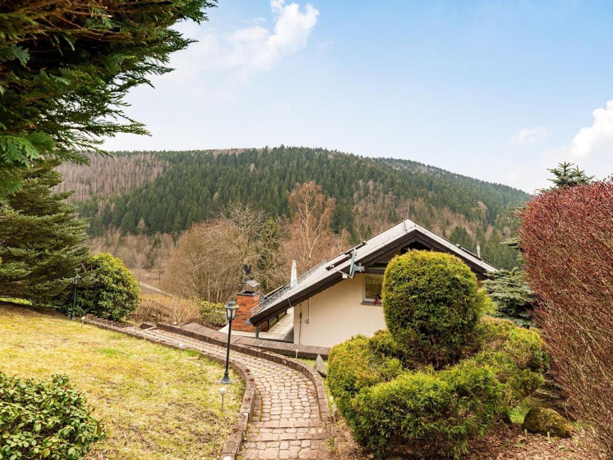 Majestic Holiday Home With Jacuzzi Unterschönau Buitenkant foto