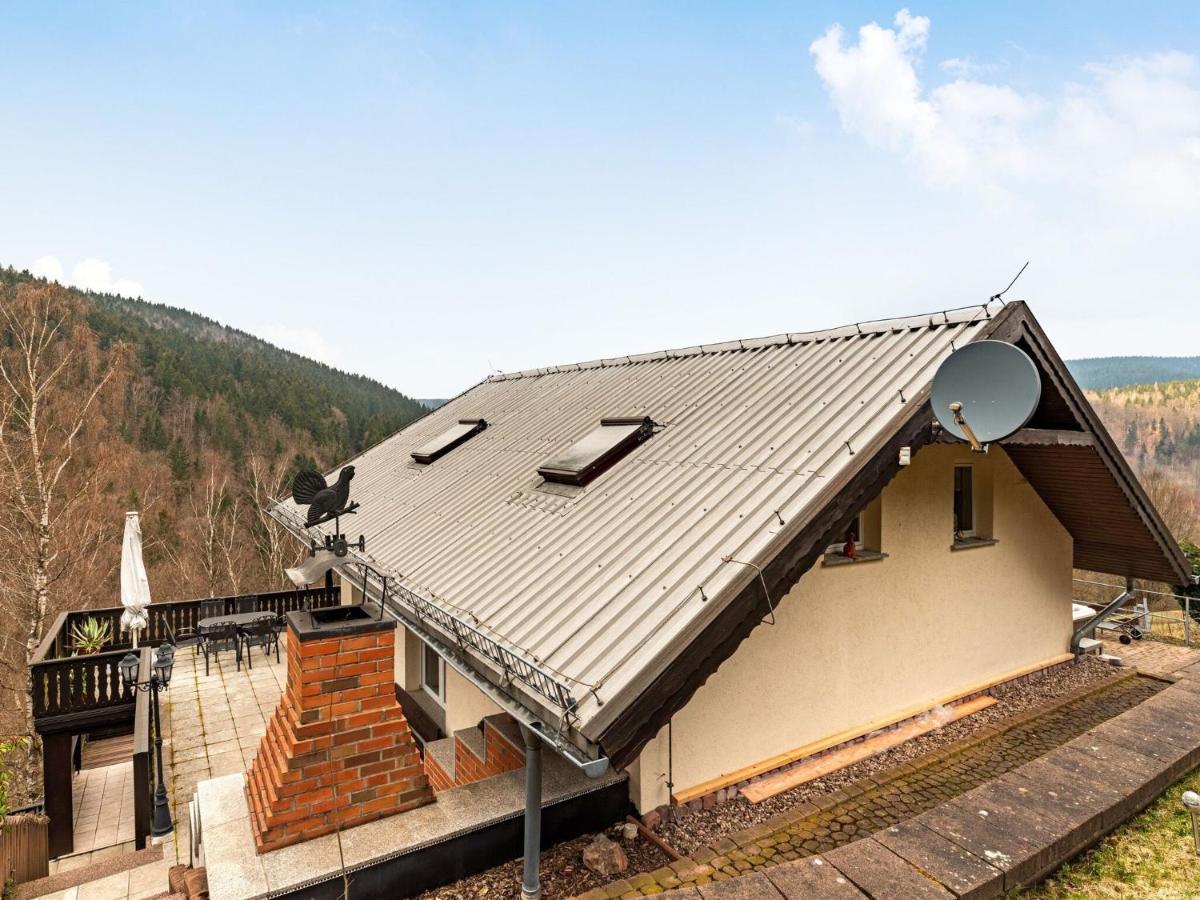 Majestic Holiday Home With Jacuzzi Unterschönau Buitenkant foto